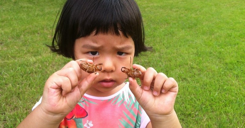 昆虫を好きになって世界平和を 平林勇 Note 昆虫を好きになって世界平和を 平林勇 Note