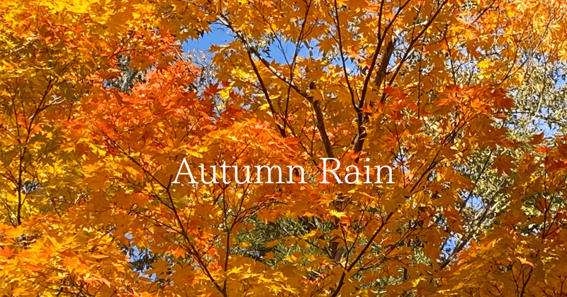 【New Release！】Autumn Rain - 美しいギター音楽作品展のご案内  倉前太郎