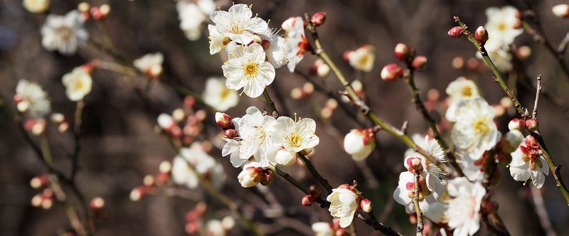 おはよう！写真集２月号