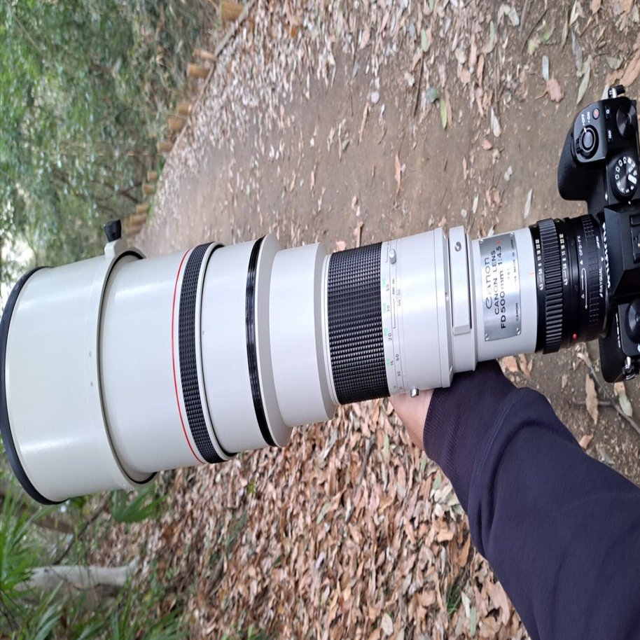 CANON FD500mm F4.5L　EFマウント変換コンバータつき 蛍石採用の超望遠レンズ！Canon New FD 500mm F/4.5 Lを解説。｜うにょーん