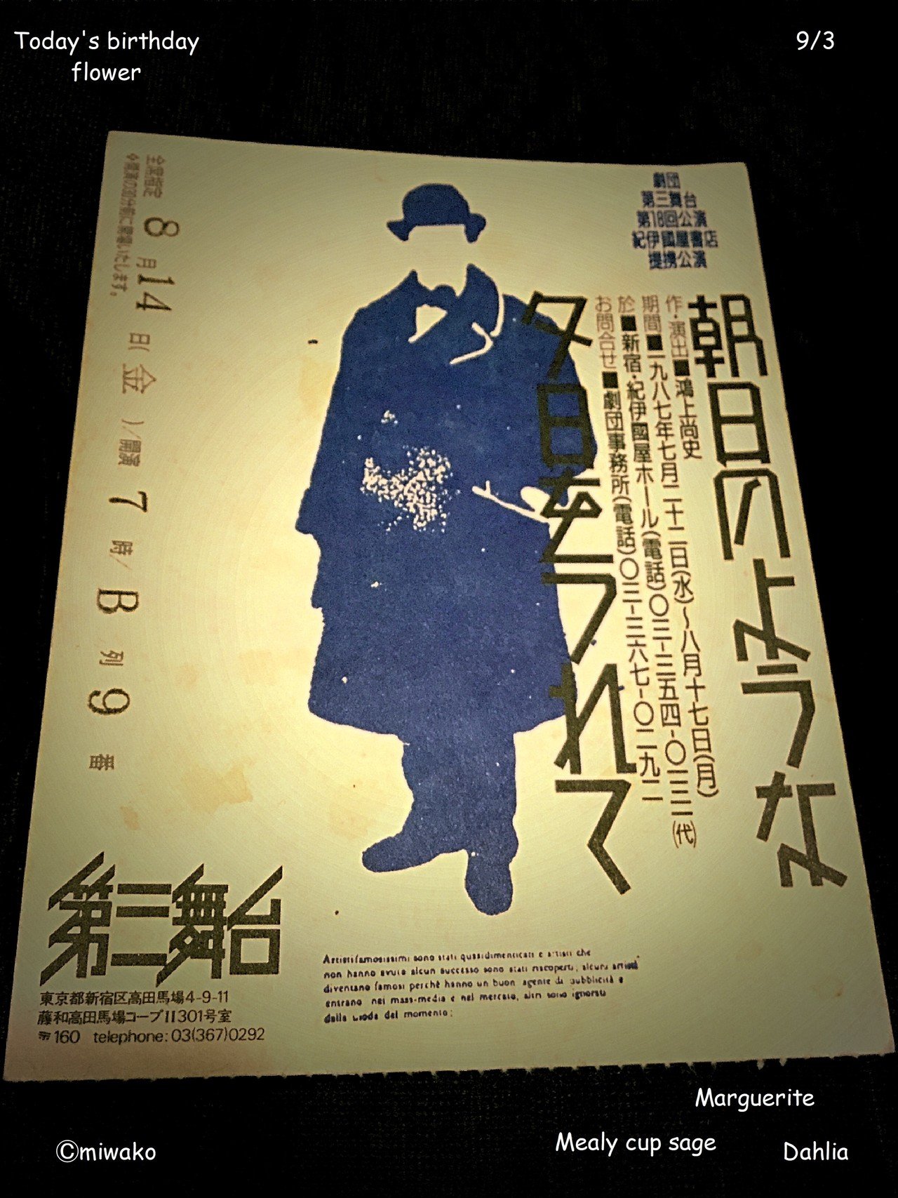 誕生花9 3 Miwako Note 誕生花9 3 Miwako Note