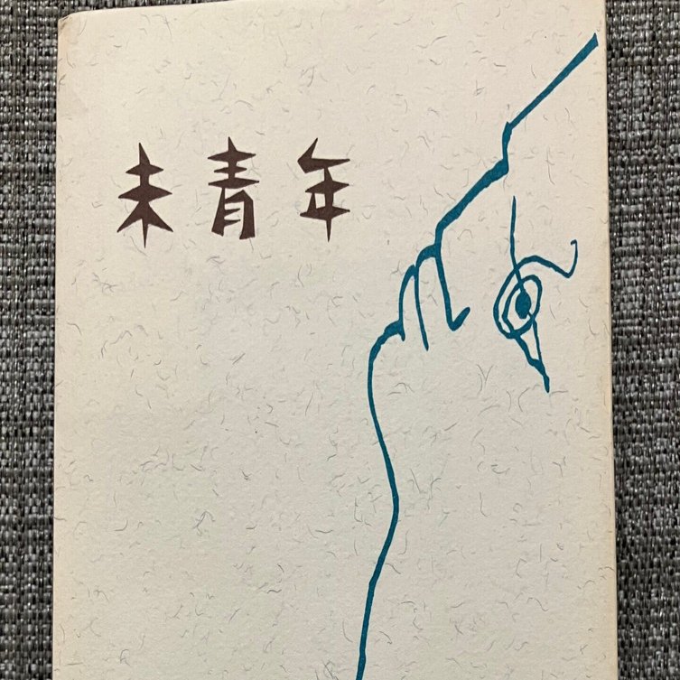 7日間ブックカバーチャレンジ DAY.7 『理由なき反抗』を。 『未青年