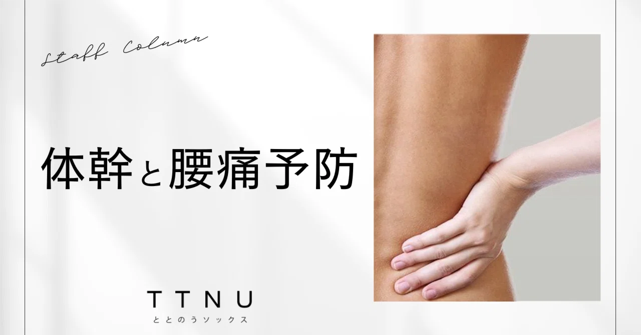 体幹と腰痛予防｜TTNU