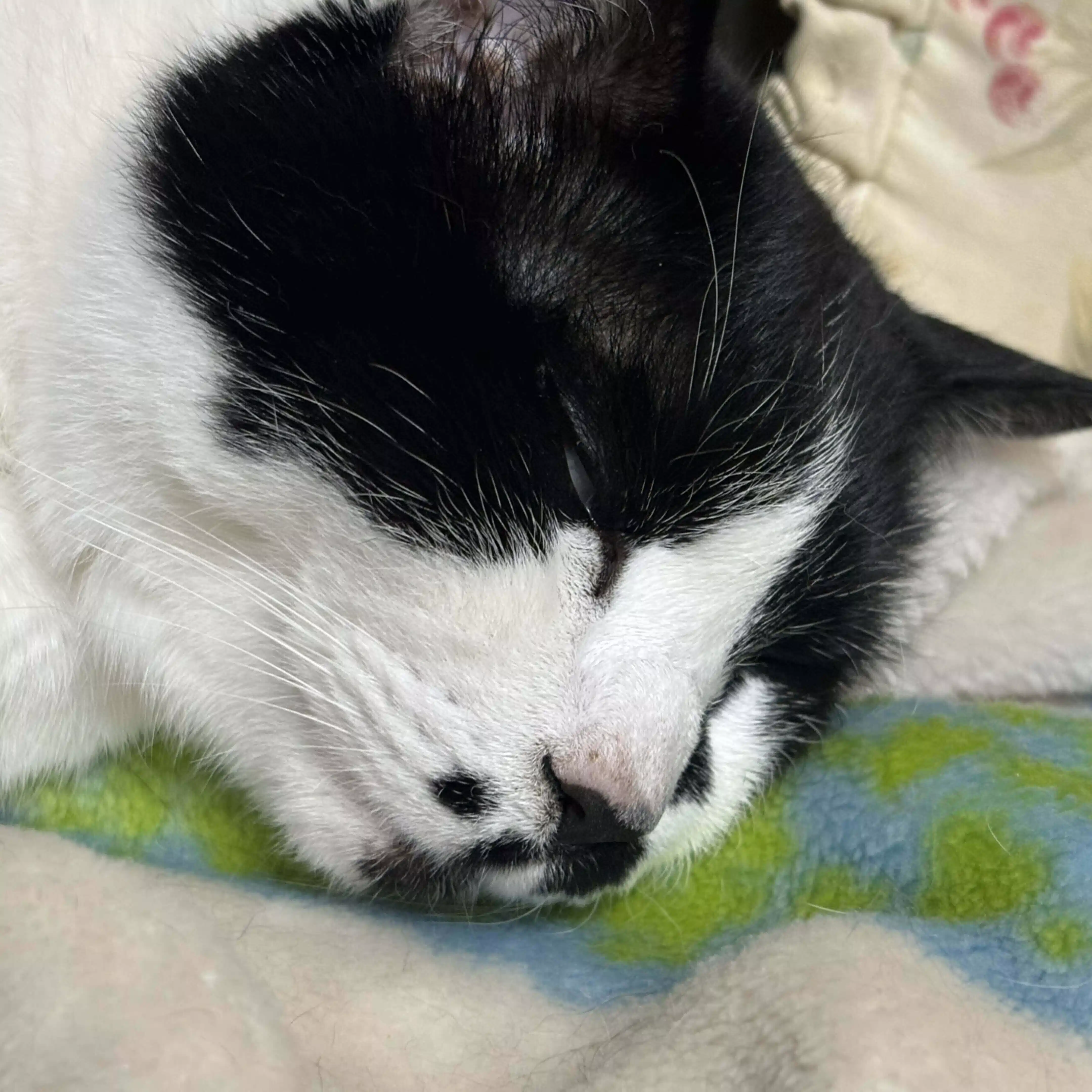 まや ひろし