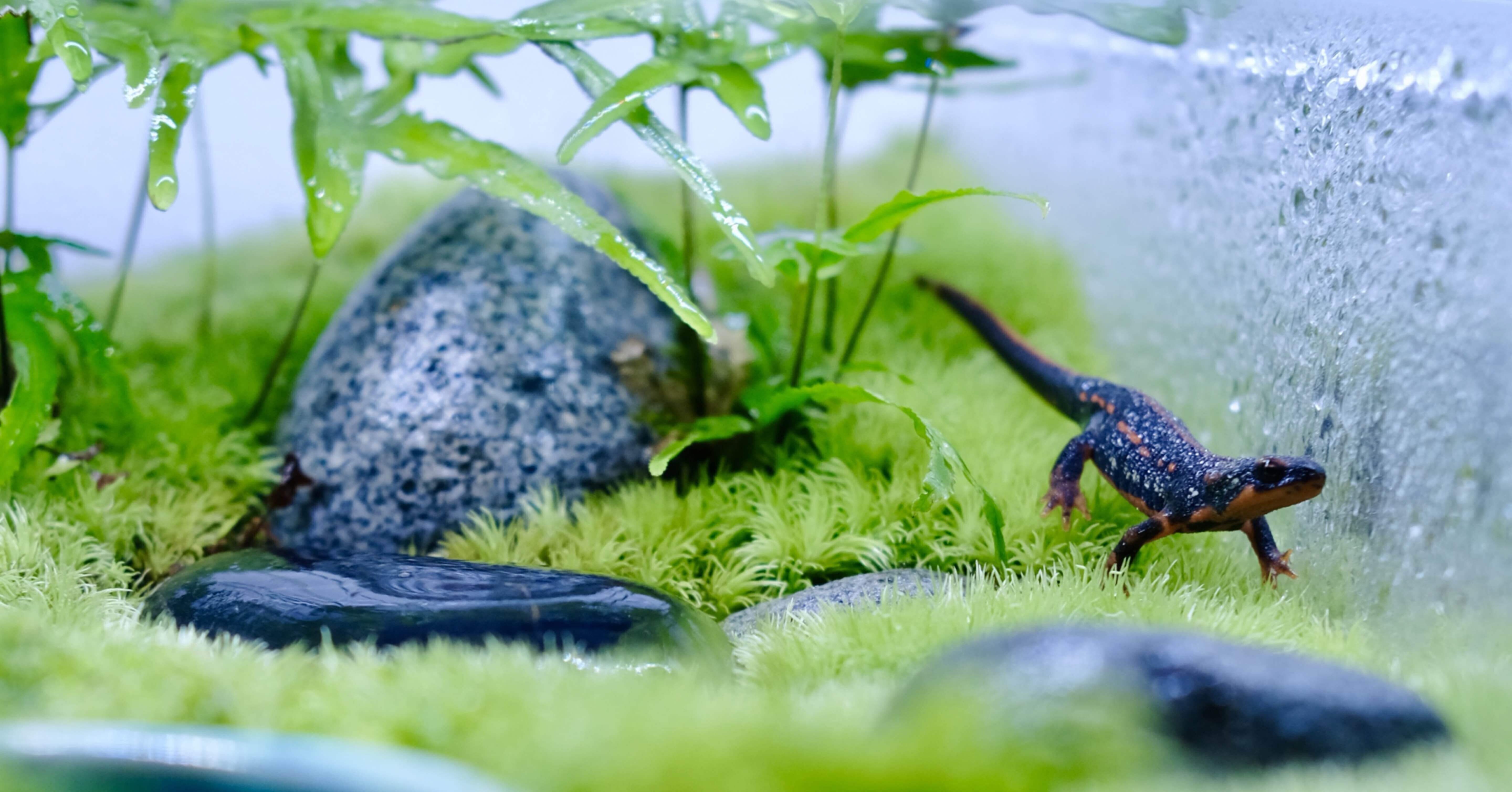 4391d0350799b41dbec248d5cae01b