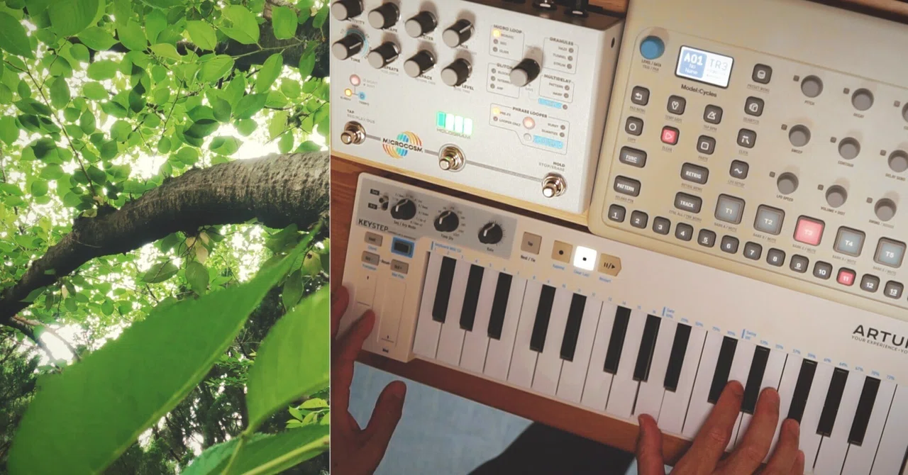 Ambient for Fresh Green Scenery ︎ Model:Cycles + Microcosm + Kalimba ...