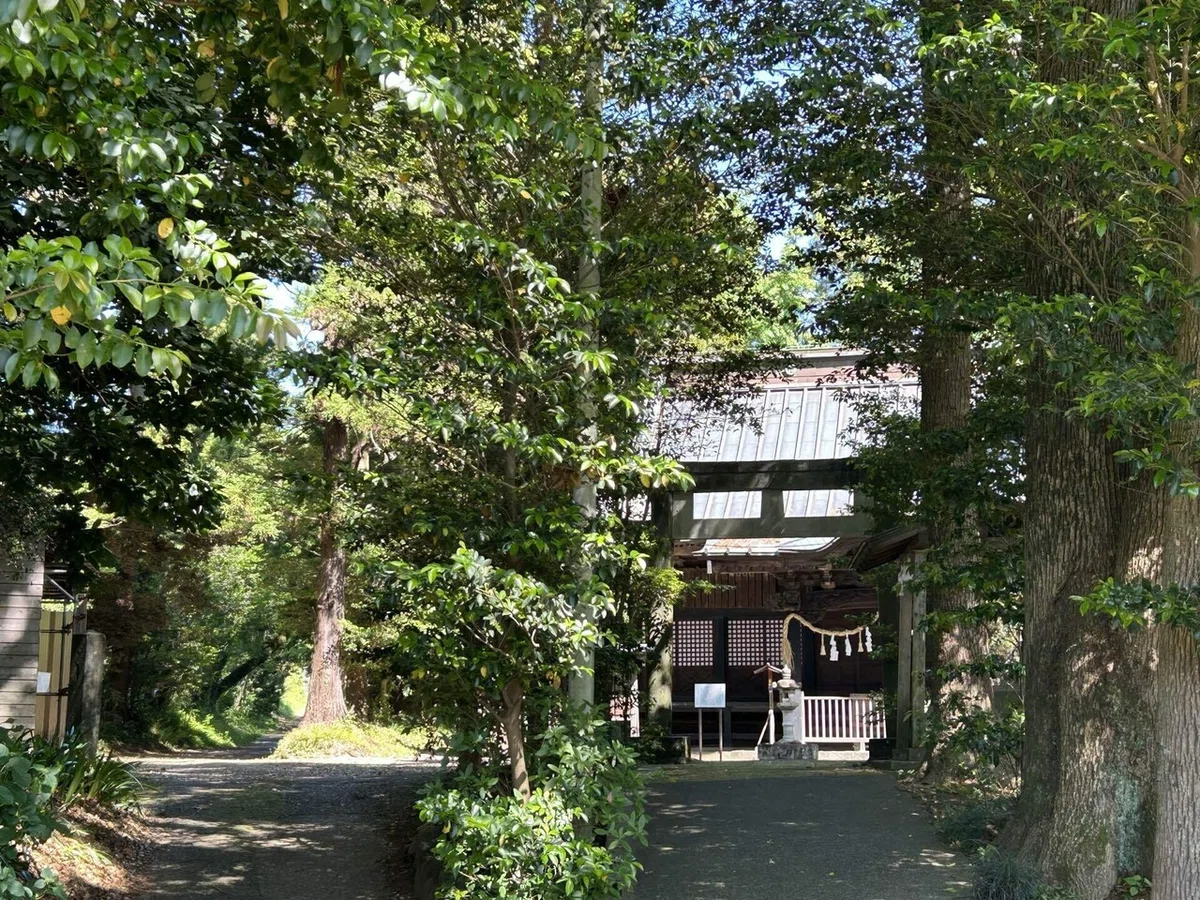 画像