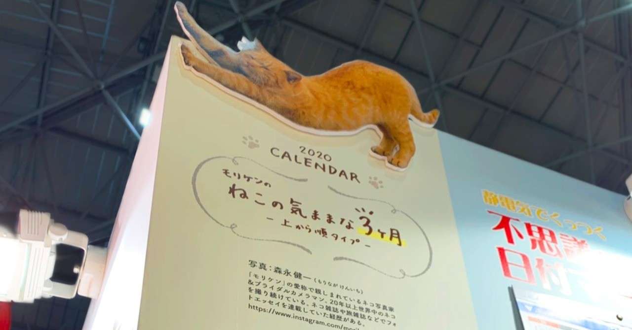 猫3ヶ月01