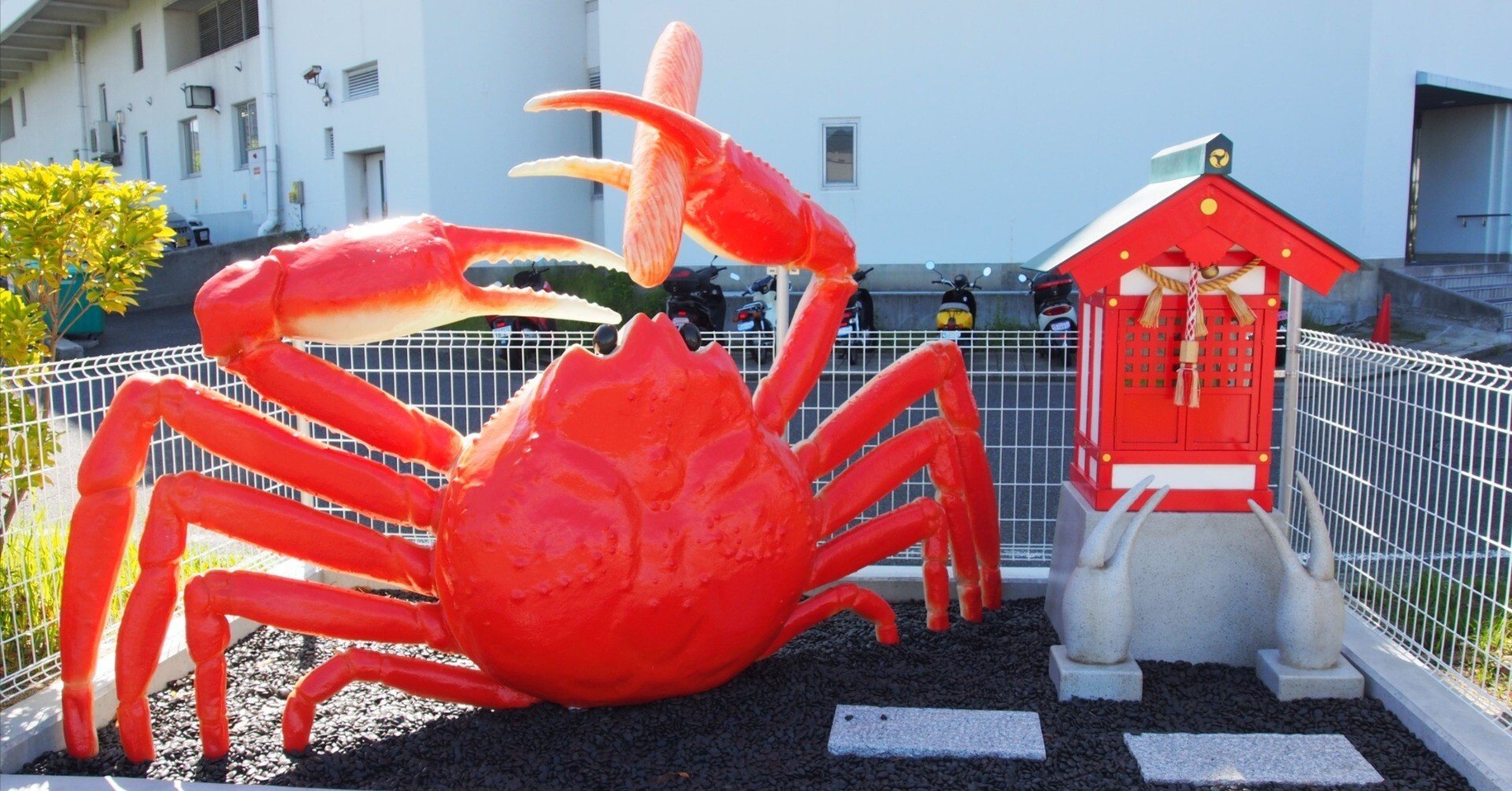 61a99298212cff96364a176e329be9