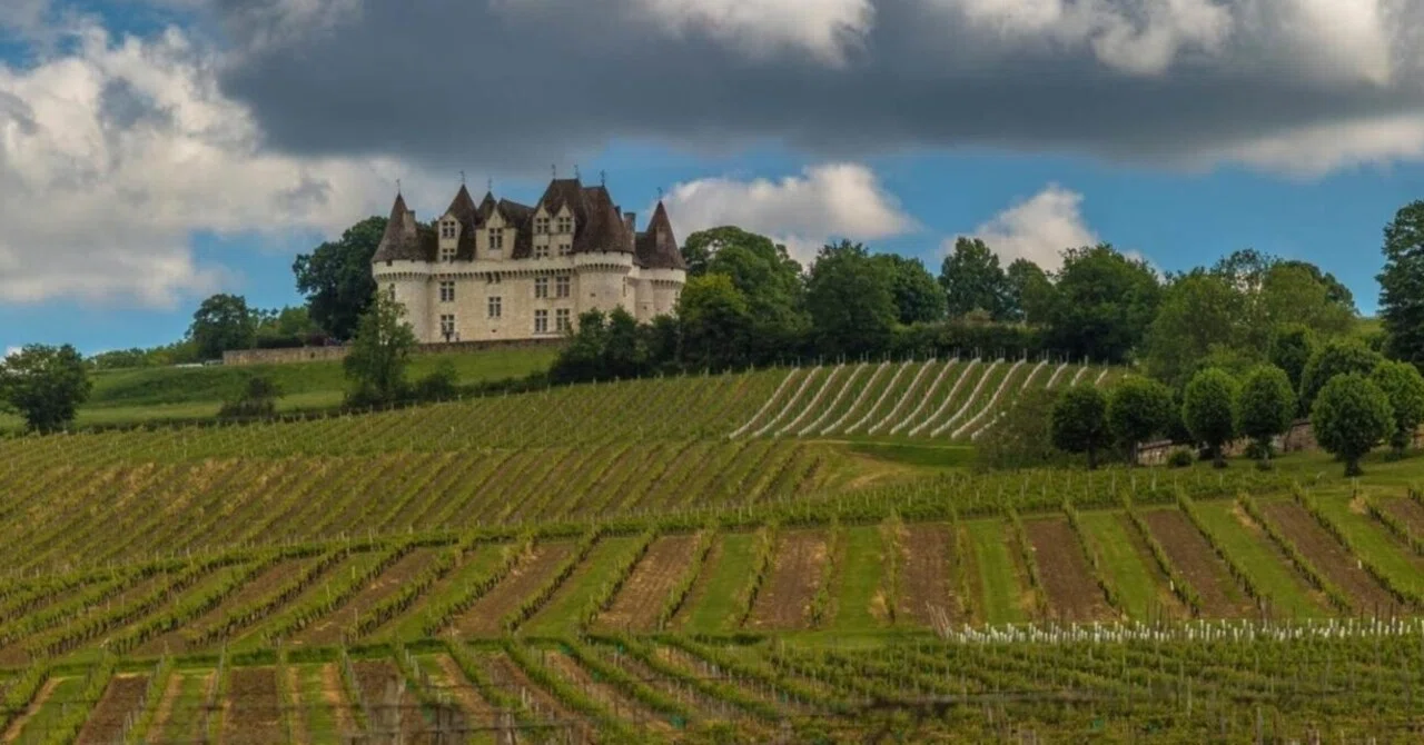 Bergerac 11 / Walking in Saint-Émilion Village #52｜白石誠