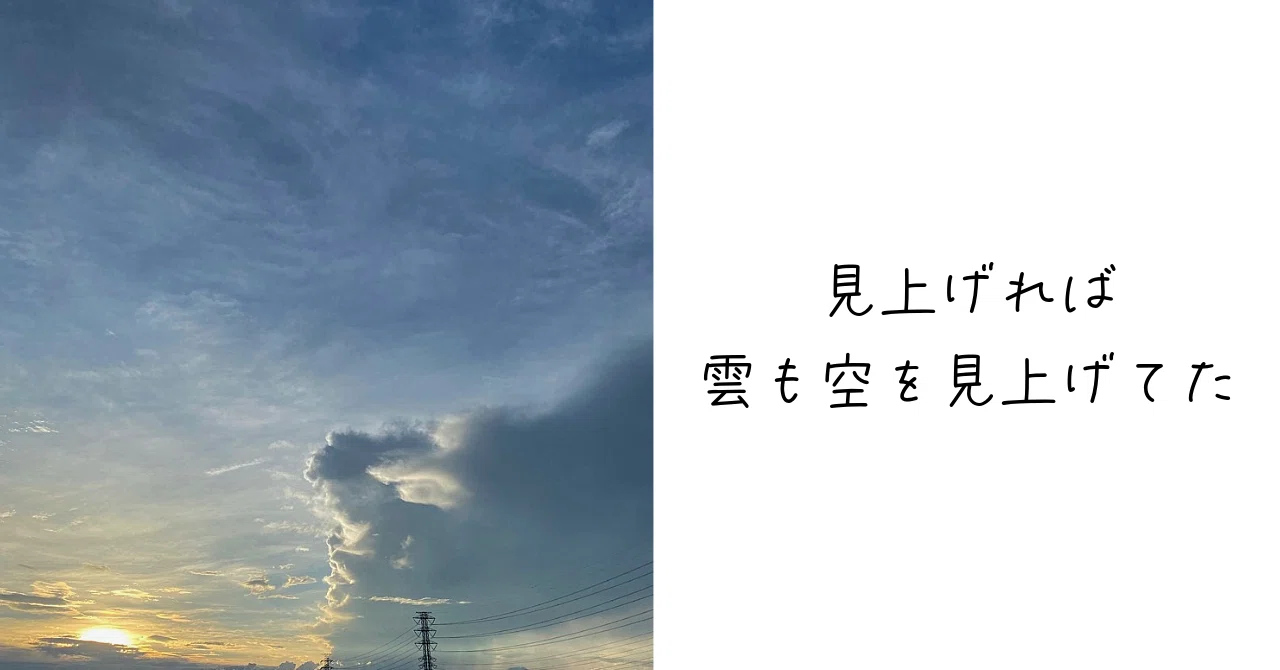 みあげる空 足元より空を見上げるのは.｜Ms'HIRO