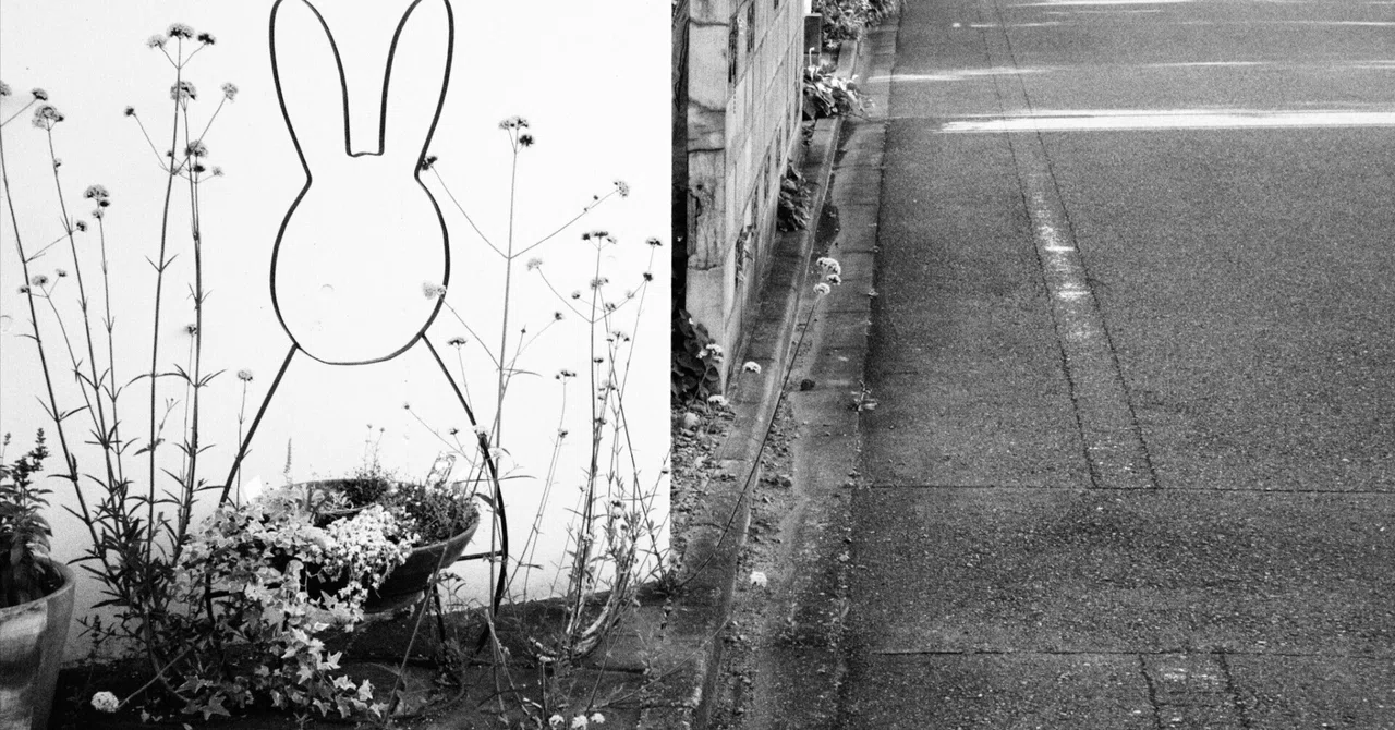 LC-A Minitar-1 Art Lens 2.8/32 M #16｜kaz_photo
