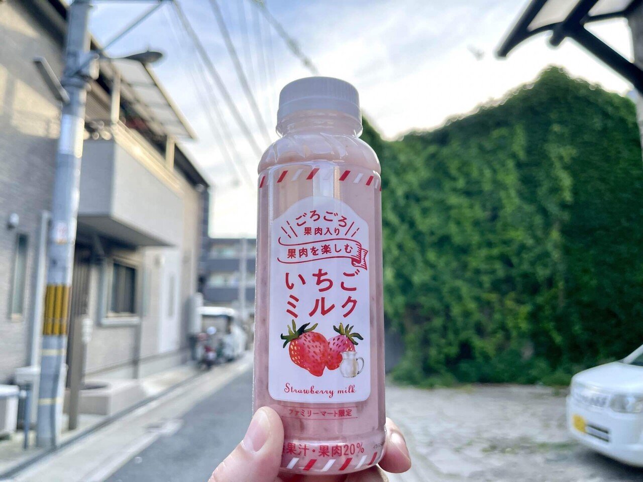 いちごみるる 北海道 日高乳業 いちごミルク 200ml×24本 : 北海道サービス