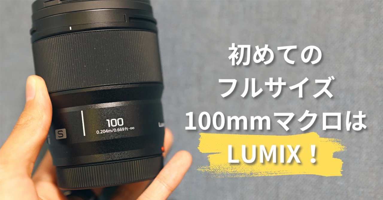 初めてのフルサイズ100mmマクロにはLUMIXがオススメ！【LUMIX S 100mm