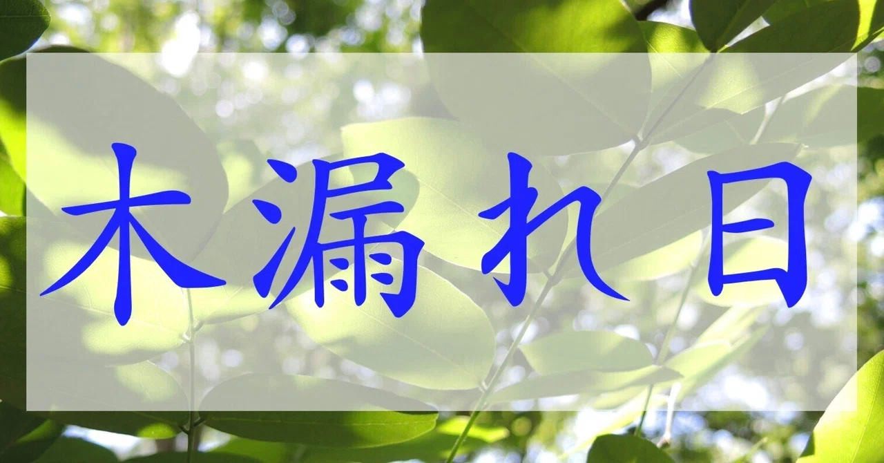 見出し画像