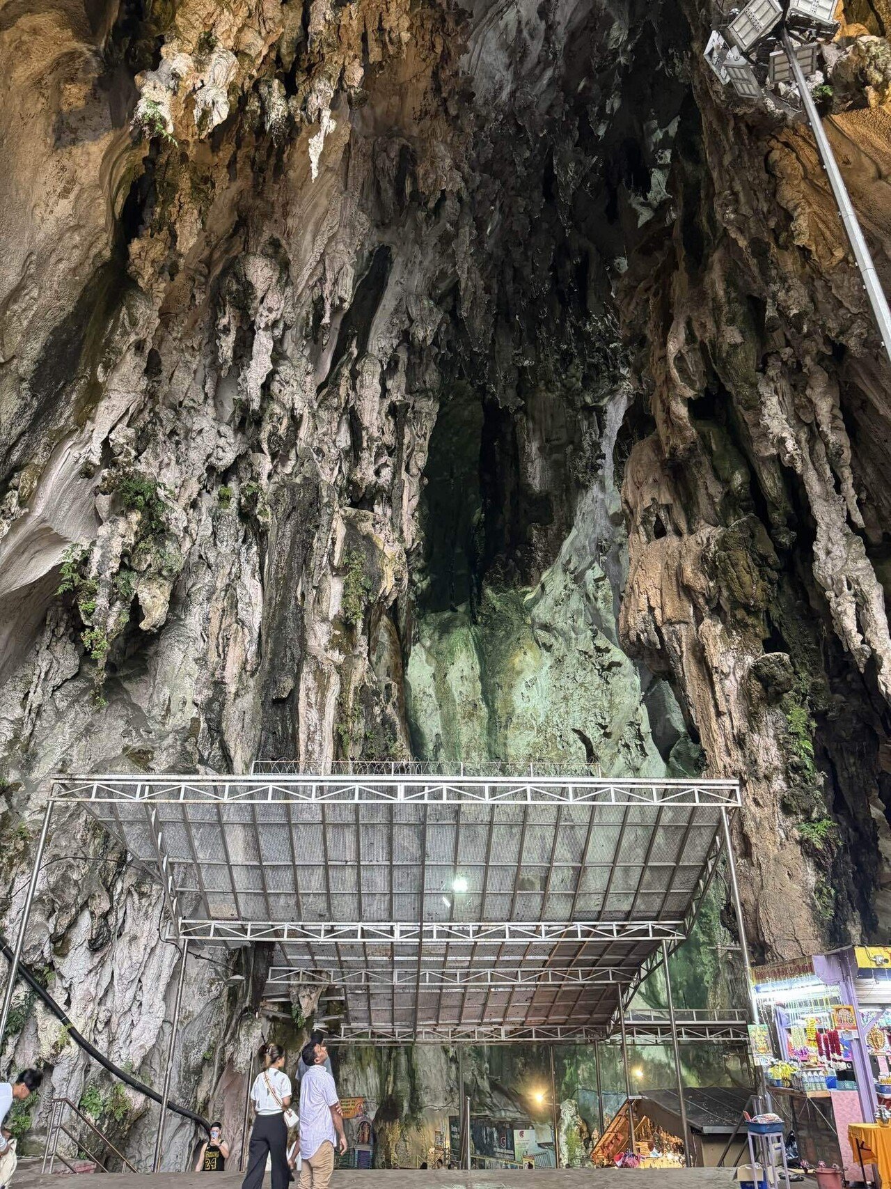 希少 絶版 Borneo: Memory of the Caves 洞窟壁画 【公式通販】