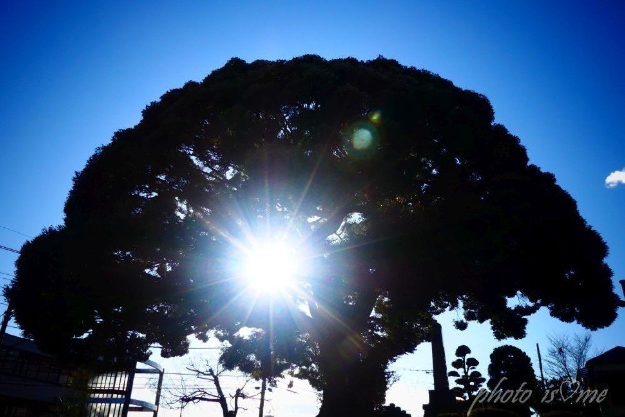 三国志 衝撃のラスト あつし Note