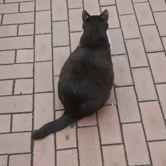 slow worker