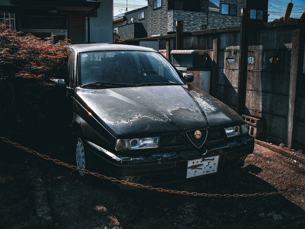 Alfa Romeo｜元田中マロ
