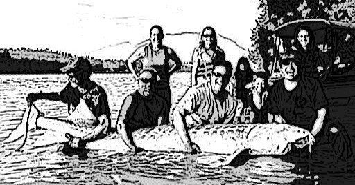 b85d232770c10235e60459627fe778