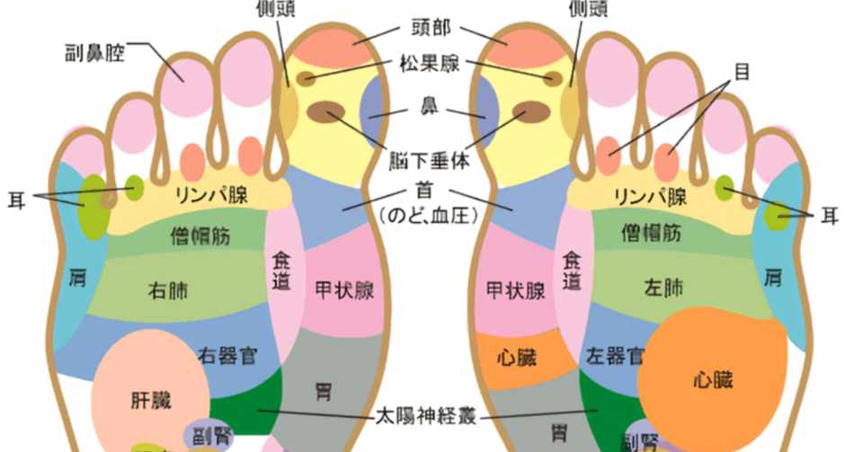 なんで足つぼって痛いの Kj Note