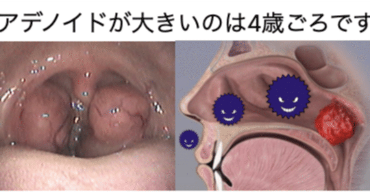 それらの機能は何ですか?