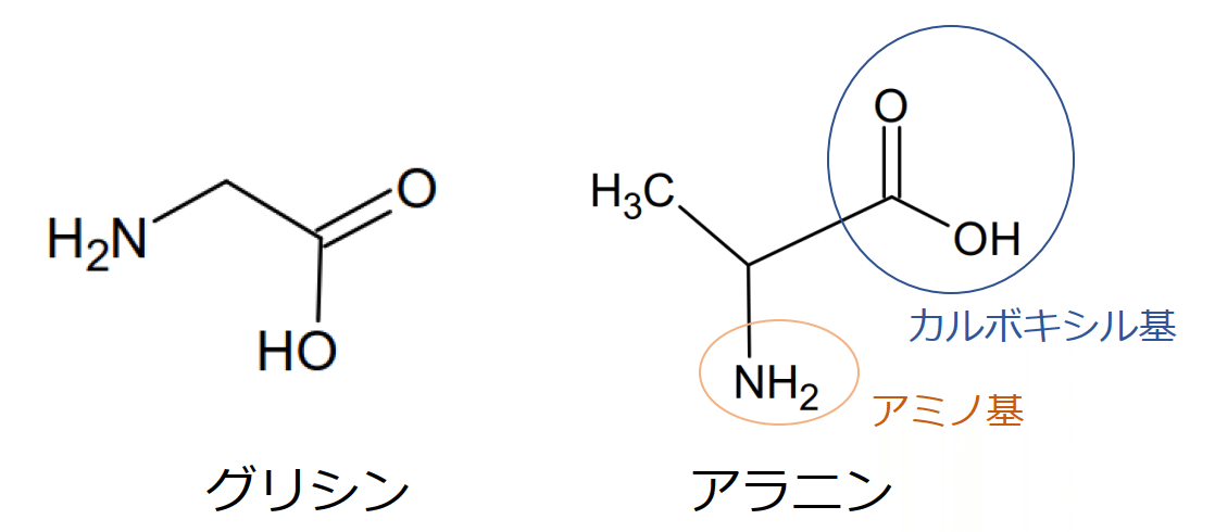 ゼラチンの化学 Gelate ジェレイト Note