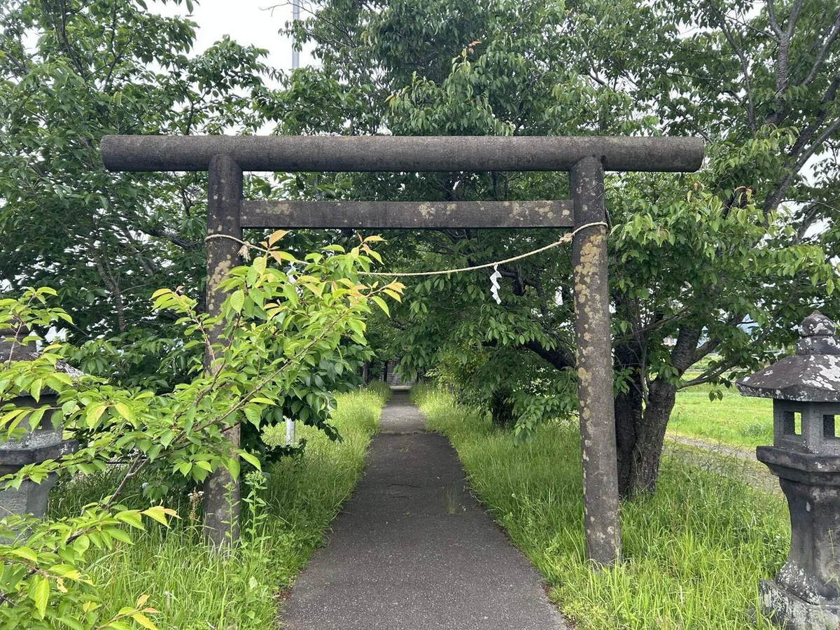 画像