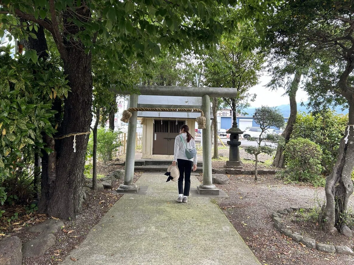 画像