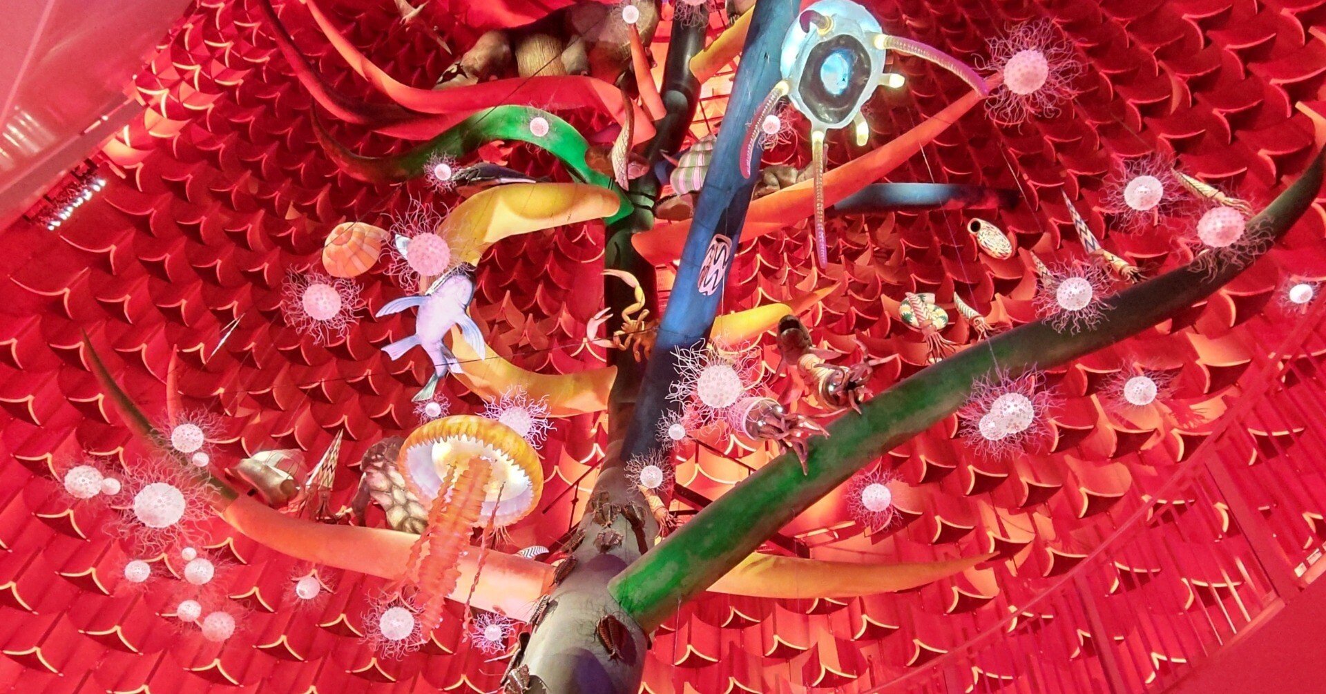 b72f4cb2426e31bcab2e4350ebaa77