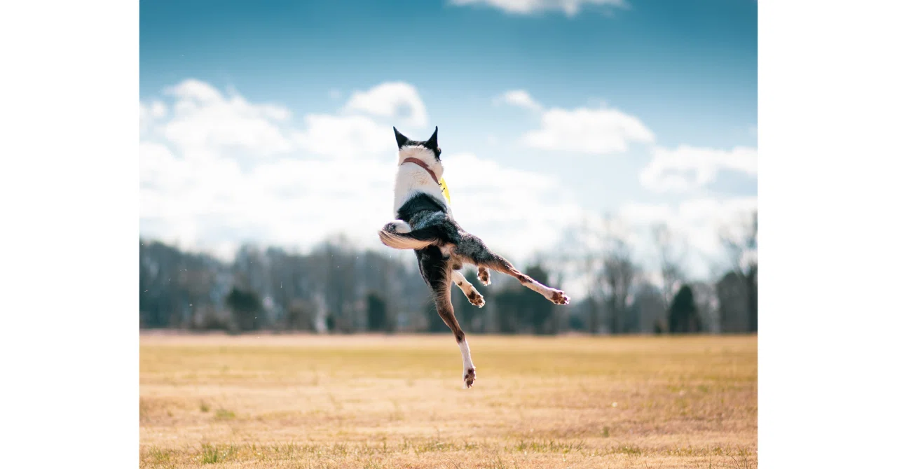 No More Confusion! 5 Tips for Finding Your Ideal Workplace in Job ...