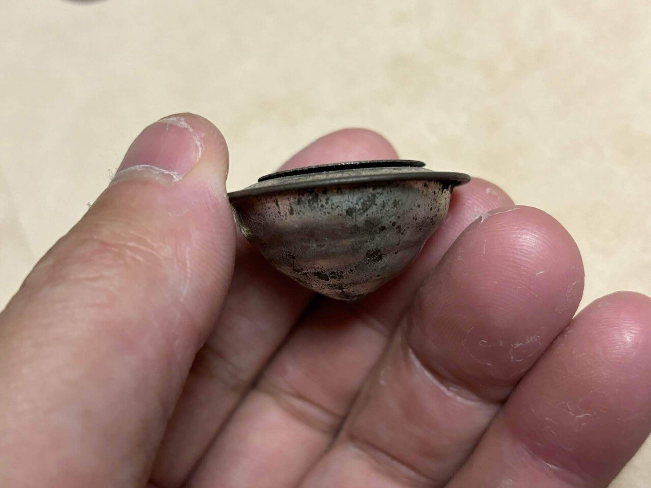 ヴィンテージ　ベイゴマ rectangle_large_type_2_79d3f1d