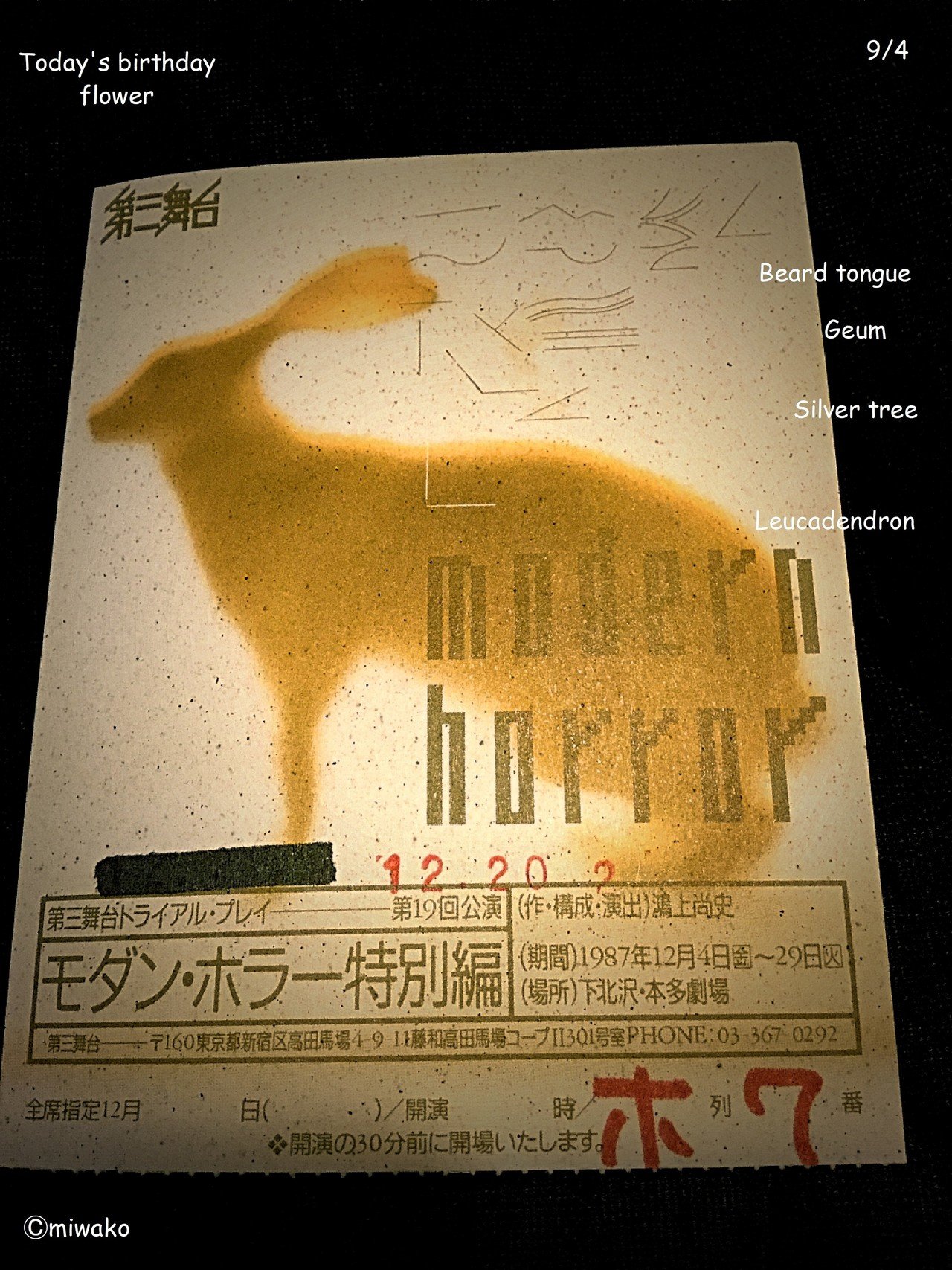 誕生花9 4 Miwako Note