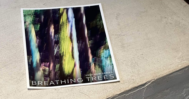 BREATHING TREES 🌲 