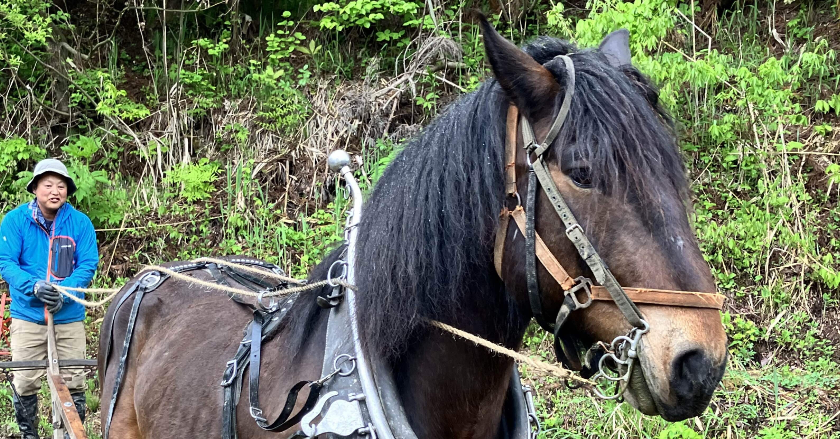 eccc3d36984e90104c9a06a32b5a48