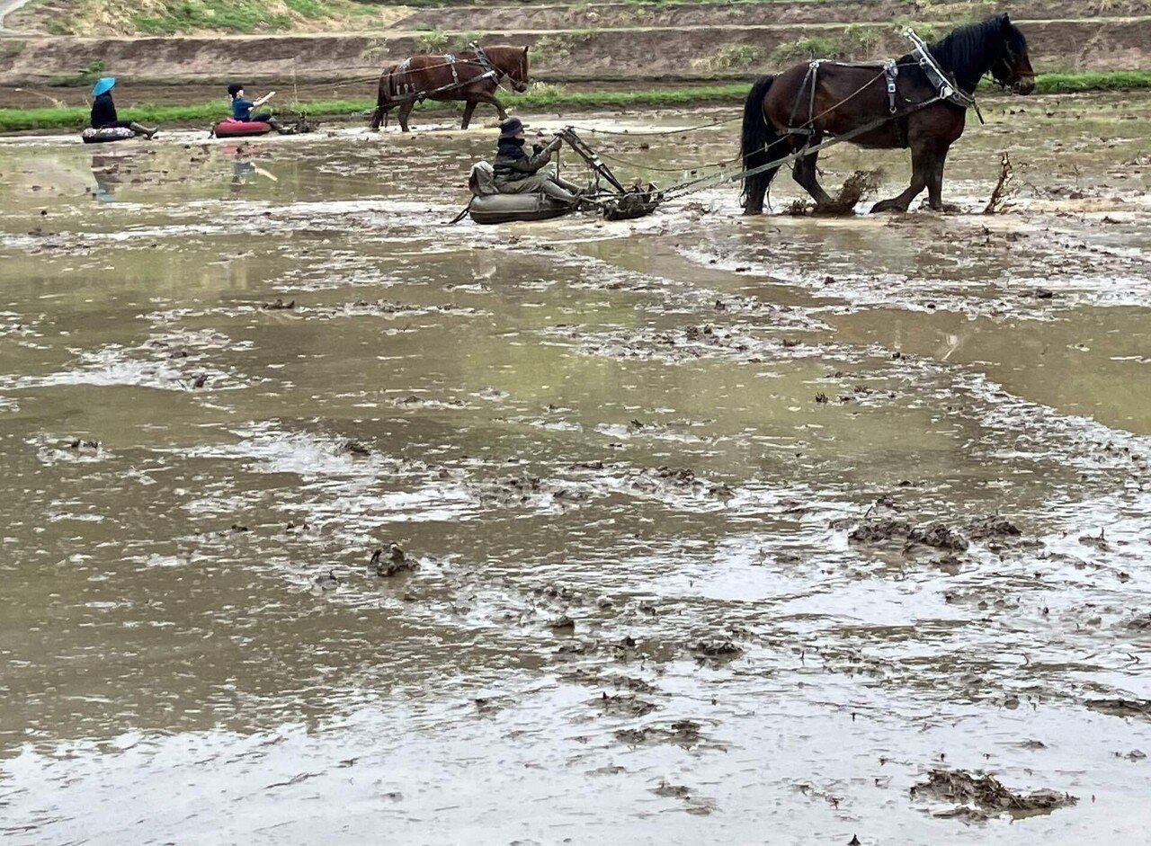 馬耕を体験する～三馬力社・十日町にて～｜てっさん
