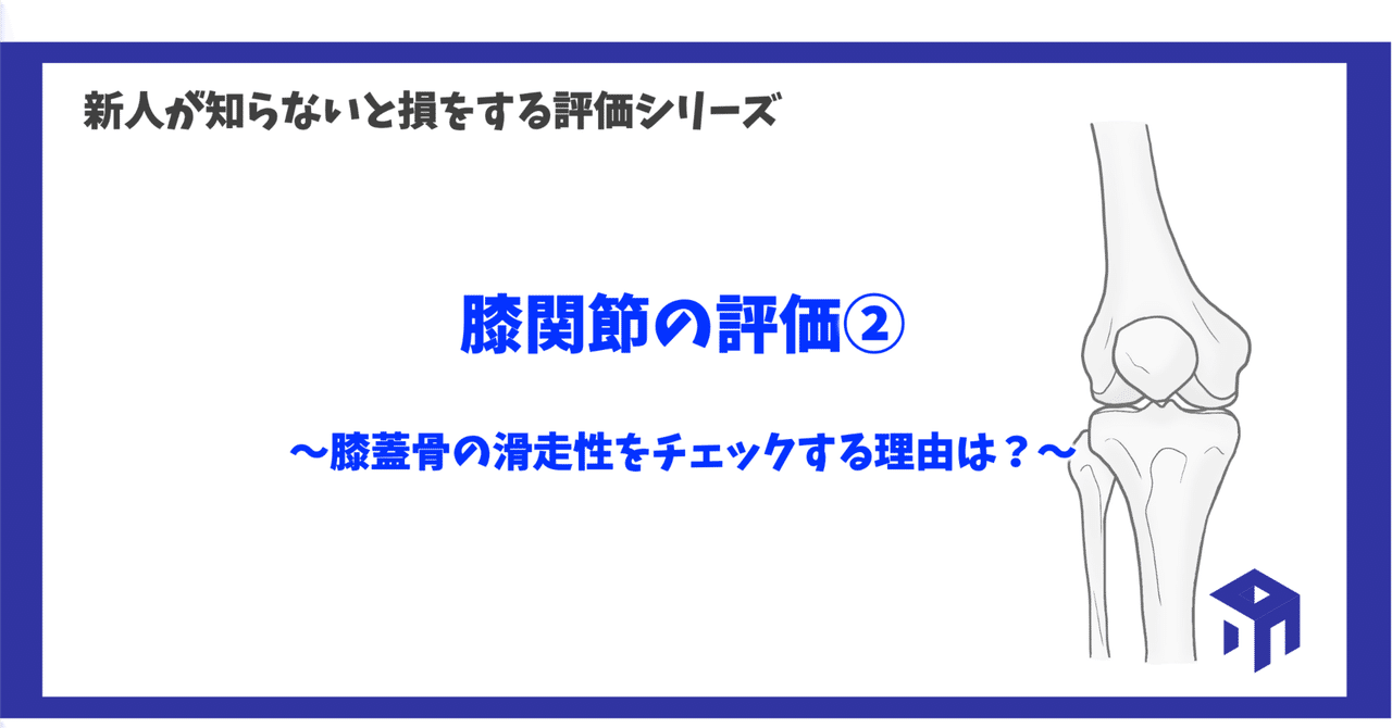 足関節＋膝関節DVD 股関節・膝関節•足関節の評価と運動療法オリジナル