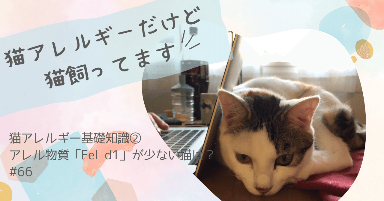 ネコアレ基礎知識② アレル物質「Fel d1」が少ない猫は？｜ネコアレ専科