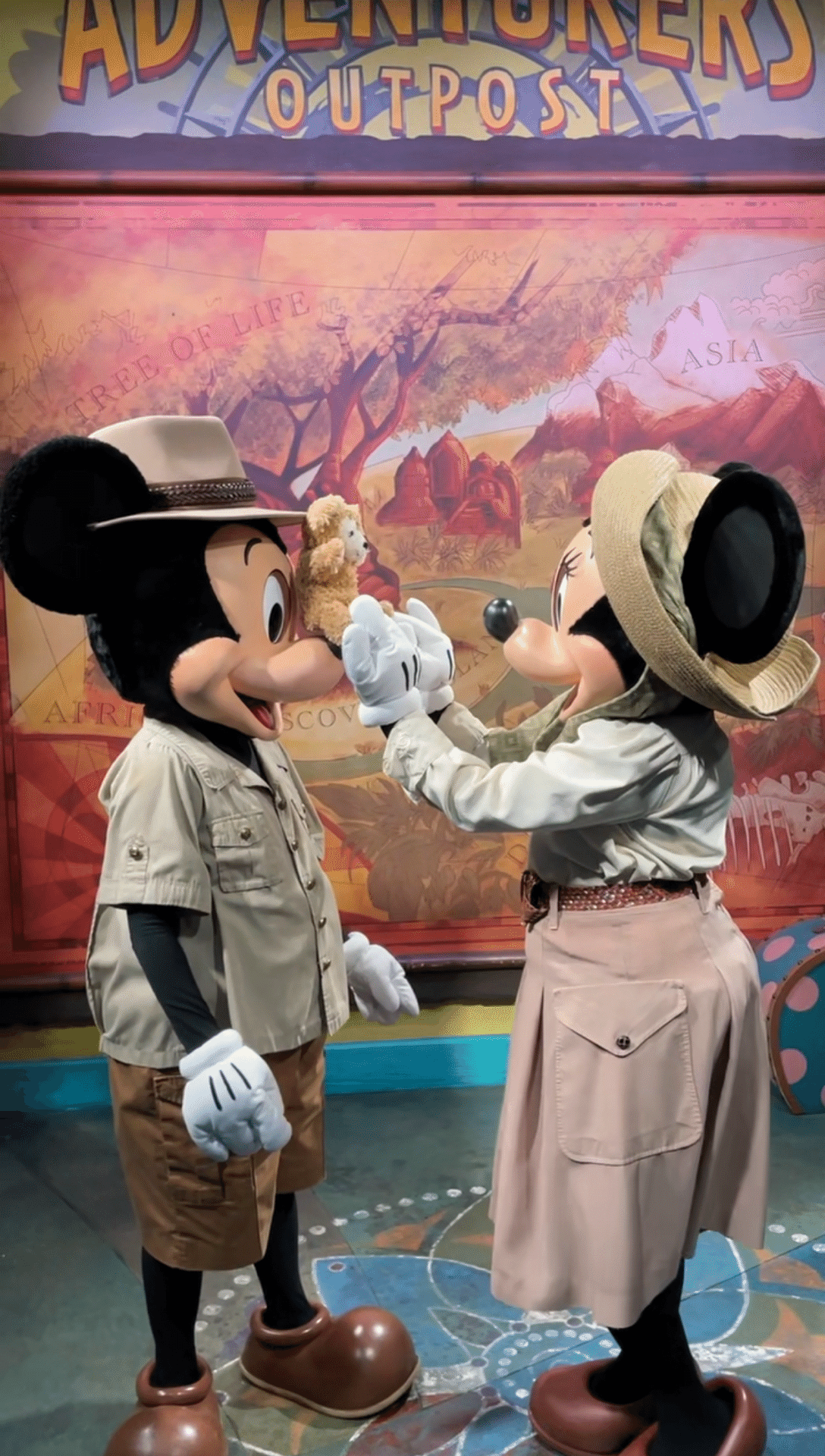 日本未発売〕Disney Worldのアニマルキングダムのパーカー