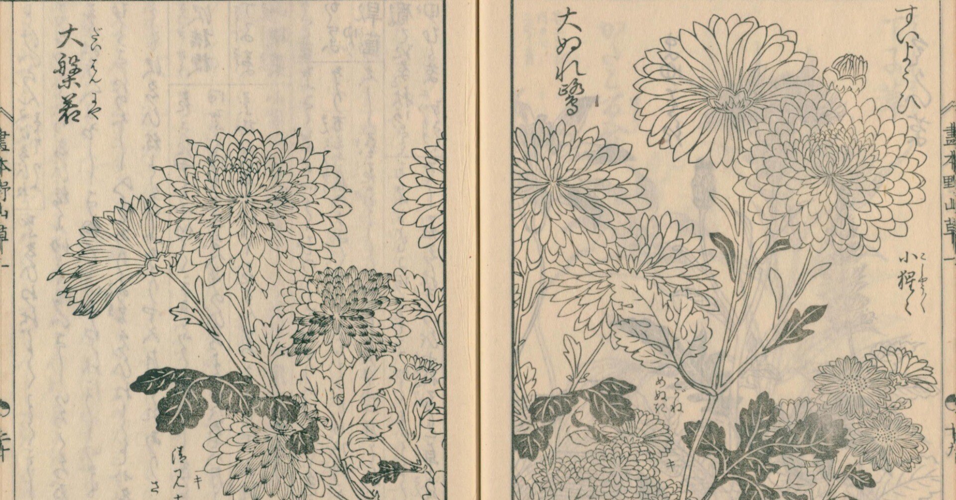 古書 和本 いなみちひき 菊模様 レトロ アンティーク 和本 四體千字文 慶長11年 金宣開版(周興嗣) / 西秋書店 / 古本、中古