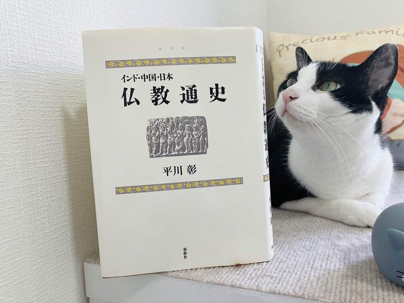 平川彰『仏教通史』を立てて置いた写真。画像右側にうちの猫さんも写っている。