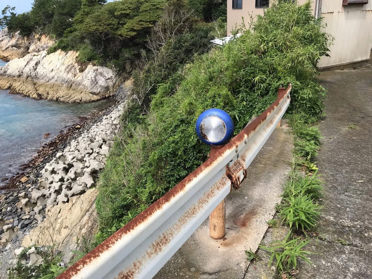 画像9