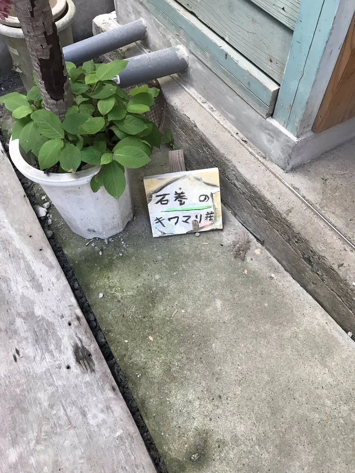 画像27