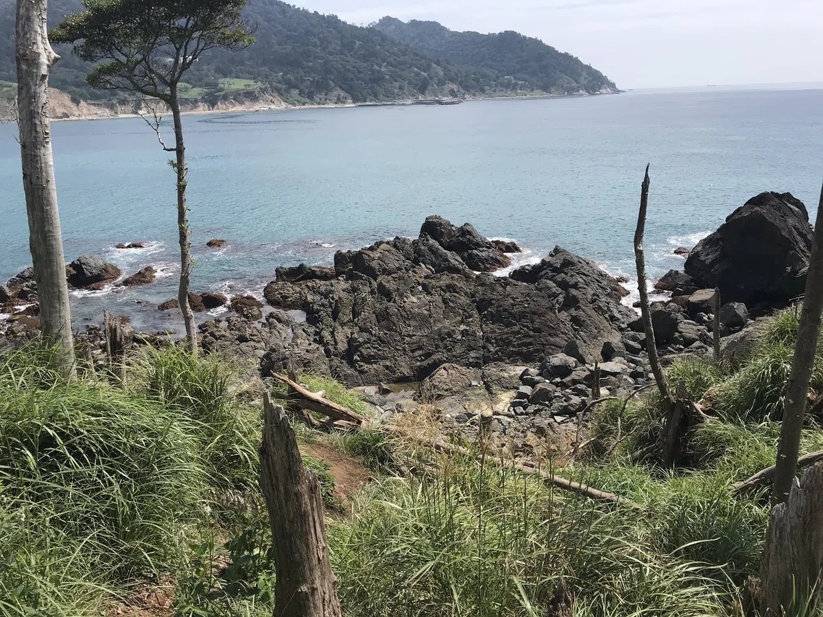 画像6
