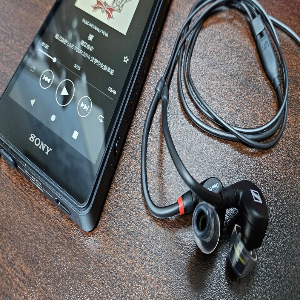 5）IE 100 PROを購入｜ryo-tam