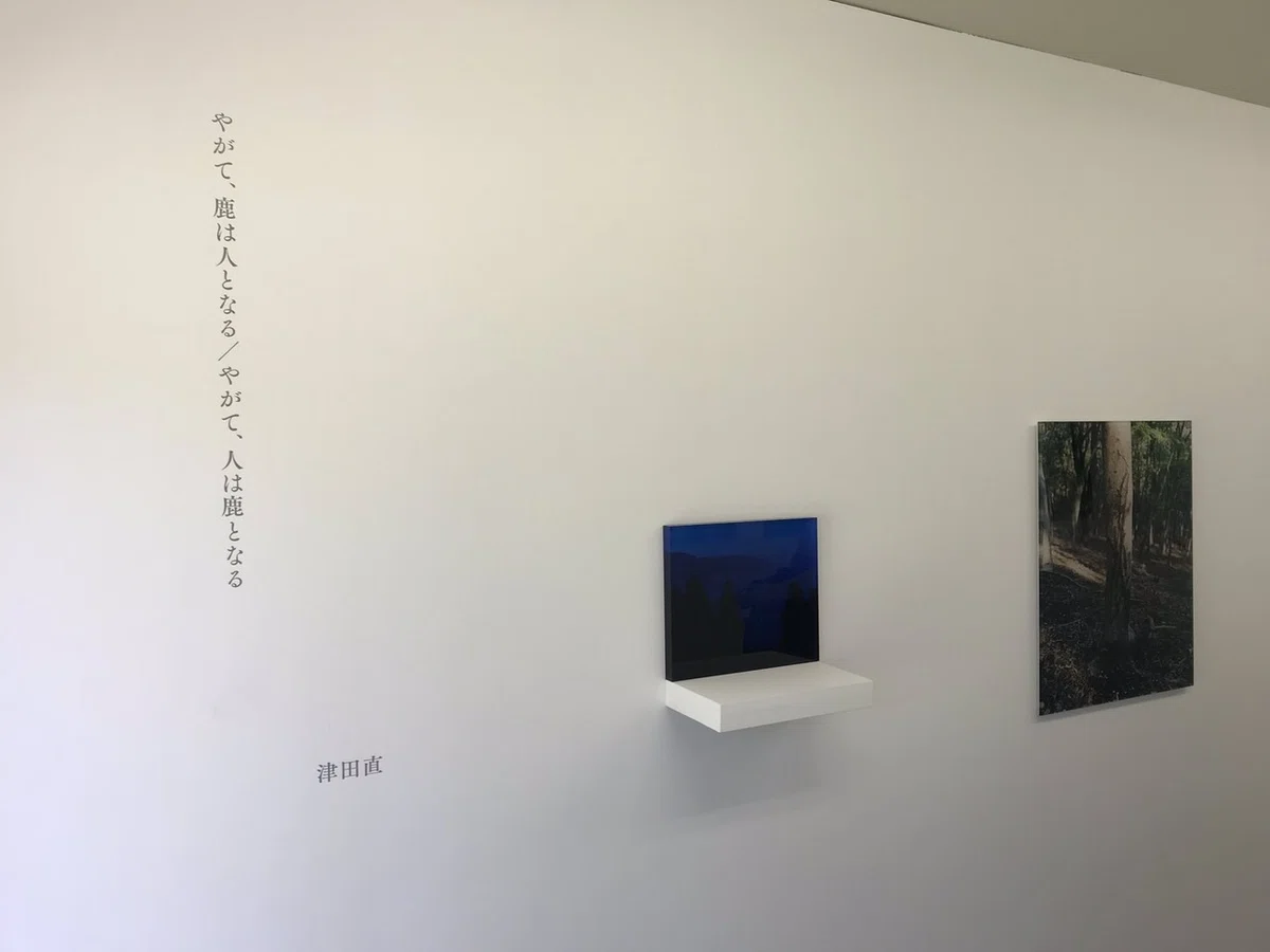 画像27