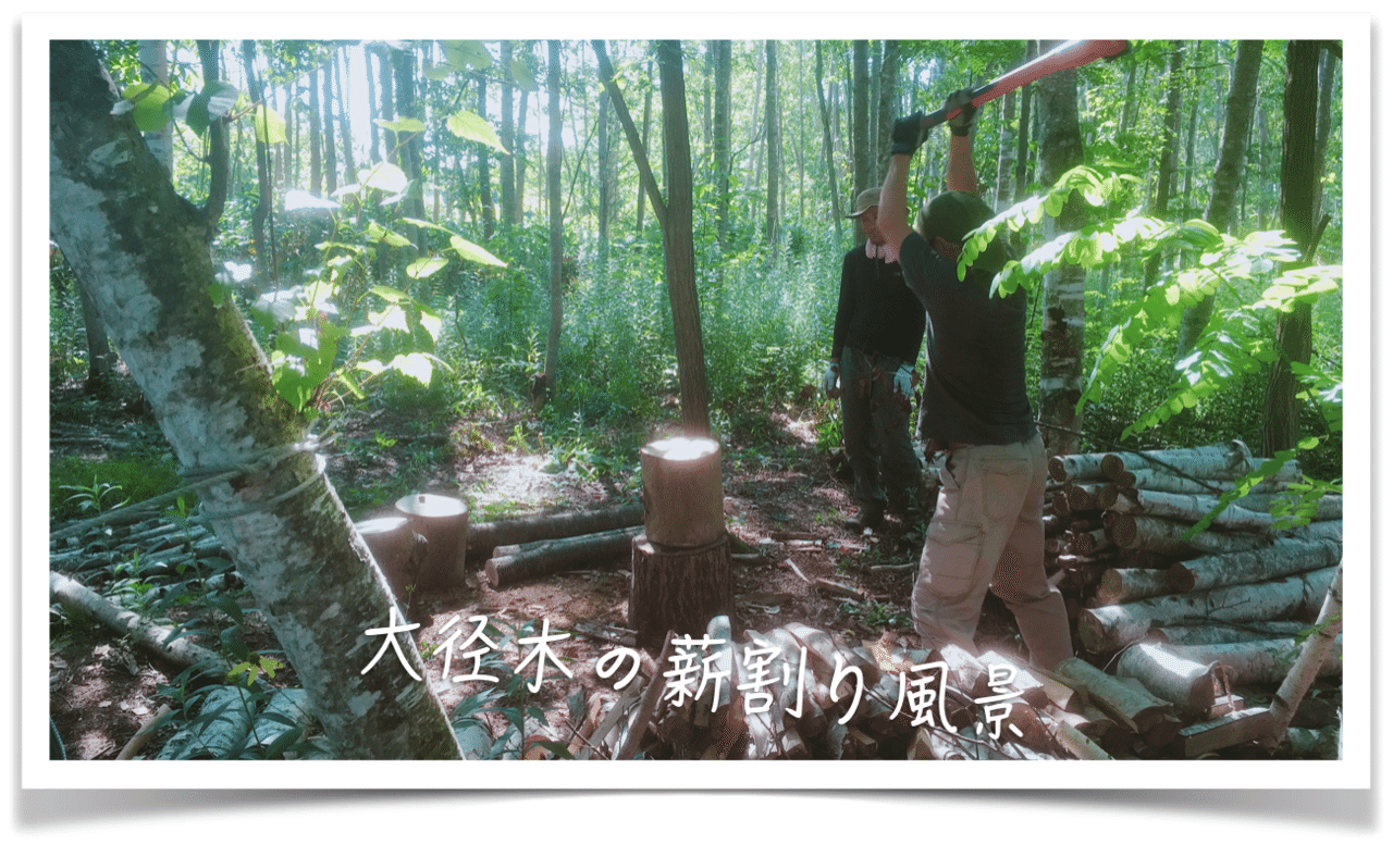 北欧式伐倒法に学ぶ日本林業と北欧林業の違い エフゲニーマエダ 平成林業 Note 北欧式伐倒法に学ぶ日本林業と北欧林業の違い エフゲニーマエダ 平成林業 Note