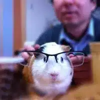 永野　健一