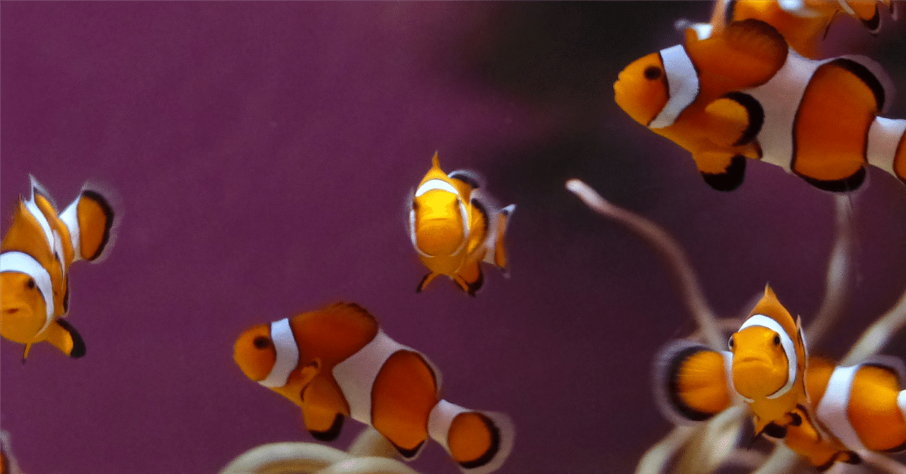 創作大賞2024 ファンタジー小説部門 作者様＆作品一覧（2024/07/24 更新）｜たおたお