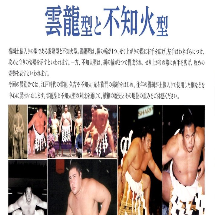 相撲博物館「雲龍型と不知火型」｜野猿（やえん）